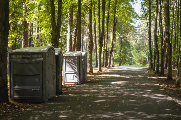 Best Affordable portable toilet rental  in Mcgaheysville, VA